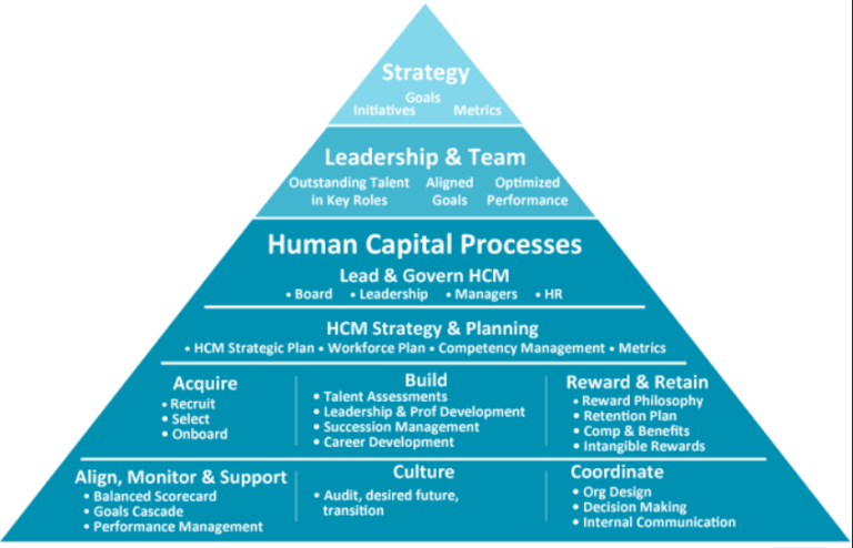 human capital management and leadership